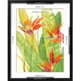 thumbnail image 5 of Art.com Watercolor Tropical Flowers III Art Print by Tim OToole, Black Frame Wall Art, 17" x 21", 5 of 5