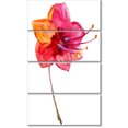 thumbnail image 2 of Beautiful Dual toned Star Flower - Large Flower Canvas Wall Art, 2 of 3