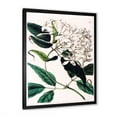 thumbnail image 2 of Designart 'Ancient Plant Life XXIV' Traditional Framed Art Print, 2 of 4