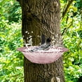thumbnail image 5 of Outdoor Hummingbird Feeder & Bird Bath: Easy Install, Ant-Proof Design!, 5 of 7