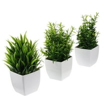 3 Pcs Simulated Potted Plant Faux Desk Plants for Indoor Home Office Succulent Flower Pots Artificial Decoration Small Decorate Pp