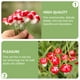 thumbnail image 5 of EeaseMX 50 mini setas para decoración de jardín de hadas, adornos de setas, 5 of 8
