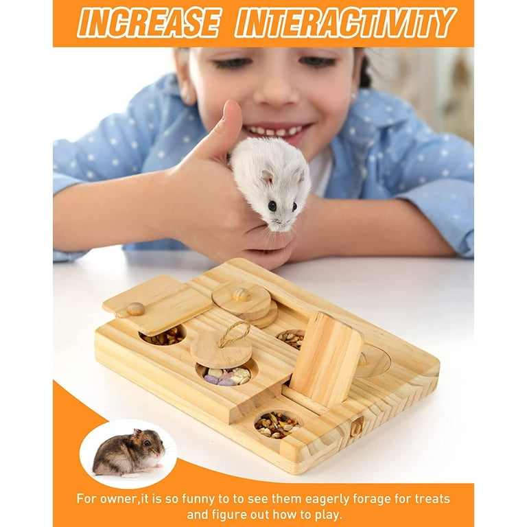 Puzzle toys hotsell for hamsters