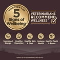 thumbnail image 5 of Wellness CORE Wholesome Grains Dry Dog Food, Original Recipe, 24 Pound Bag, 5 of 9