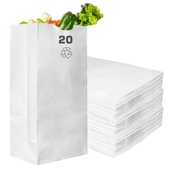 Paper Lunch Bags 20 Lb White Paper Bags 20LB Capacity - Kraft White Paper Bags, Bakery Bags, Candy Bags, Lunch Bags, Grocery Bags, Craft Bags - #20 Large Lunch Paper Bags by EcoQuality (100, #20)