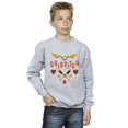 thumbnail image 2 of Harry Potter Boys Quidditch Golden Snitch Sweatshirt, 2 of 3