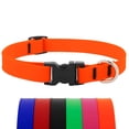 thumbnail image 1 of Collar para perro LupinePet impermeable BioThane, naranja neón, 2 cm, 1 of 6