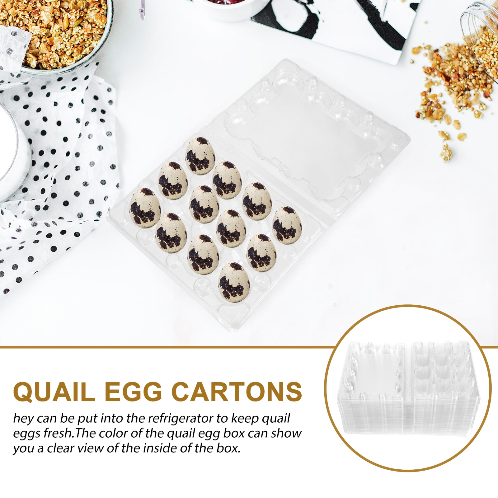 Transparent Quail Egg Carton with 12 Cavities for Storage Strong Plastic Durable Reusable Easy to