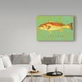 thumbnail image 3 of Trademark Fine Art 'Red Drum' Canvas Art by John W. Golden, 3 of 3