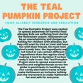 thumbnail image 5 of Teal Pumpkin Bucket 8.5 in (1 Pack)-Official Teal Pumpkin Project Allergy-Friendly Candy Pail Accessory and Party Decoration Supplies, Plastic Bowl w Handle, 5 of 5