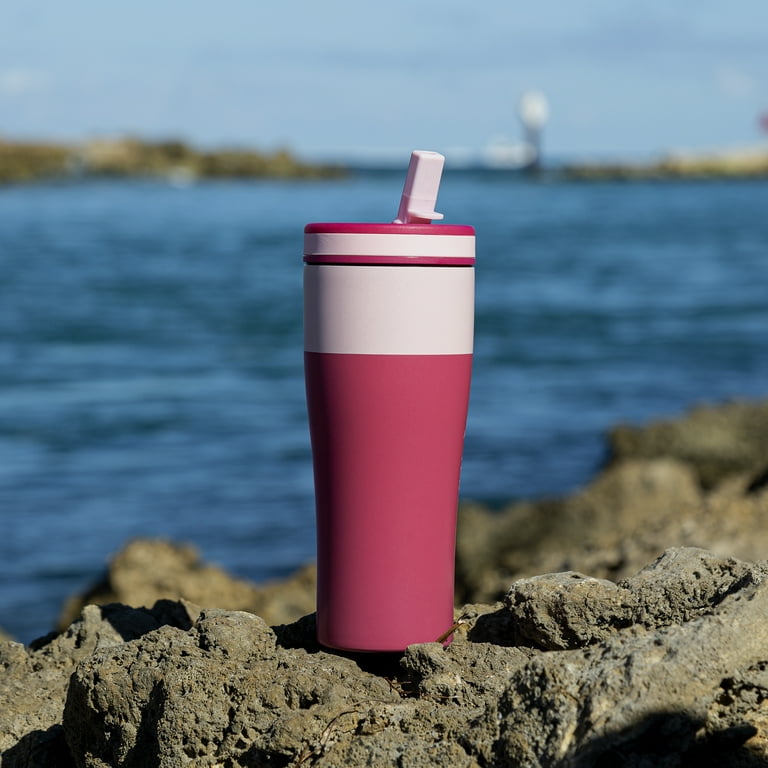 Tasty Double Wall Stainless Steel Insulated Tumbler with Built-In Straw  Lid, 20 Ounce, Pink/Dark Pink 