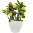 thumbnail image 1 of Simulation Potted Plant Fake Lemon Tree Bonsai Desktop Decor Household Bonsai Decor, 1 of 3