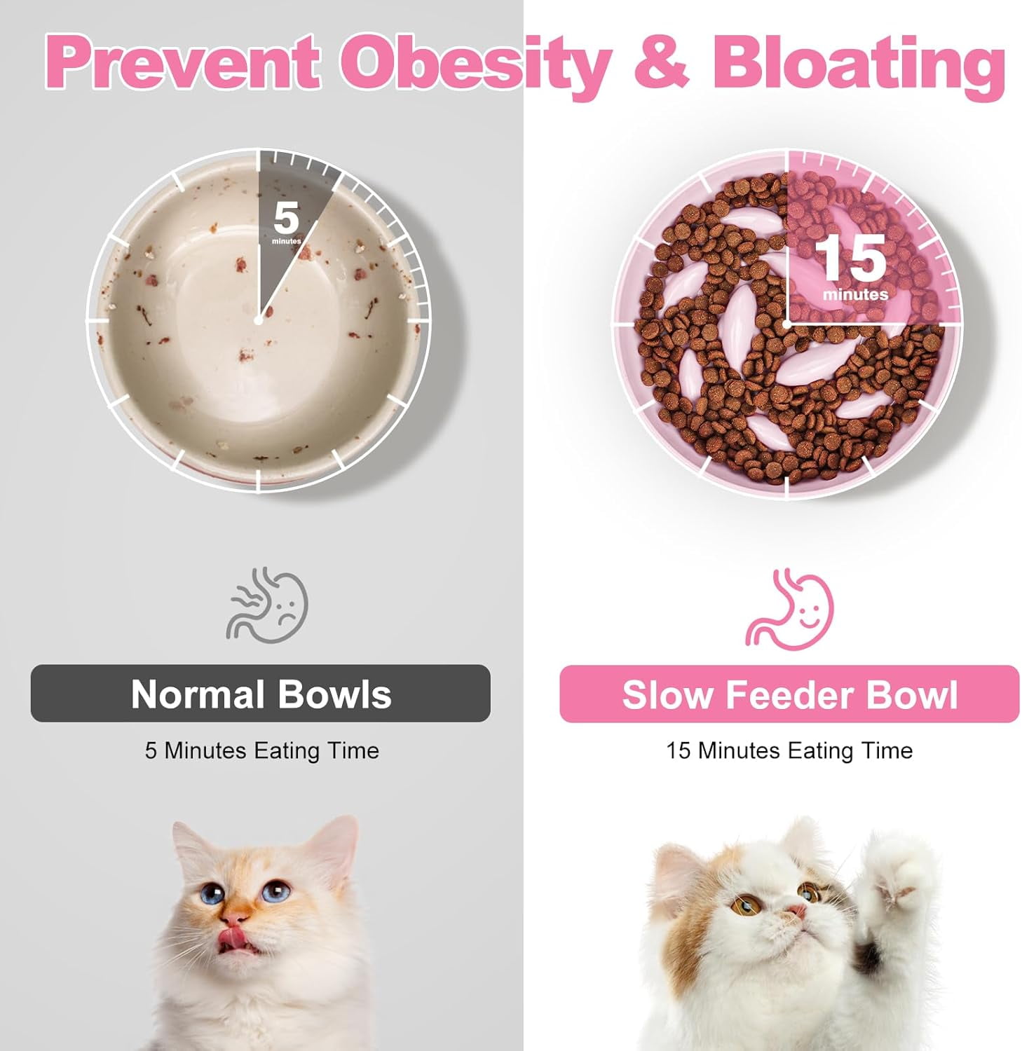 ABCISI 2PCS Slow Feeder Cat Bowl, Cat Food Bowl with Fish Pool Design, Healthy Eating Diet Pet Bowl, Interactive Puzzle Feeder Dish for Cats, Non-Slip Anti Gulping Cat Bowl for Dry and Wet Food