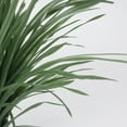 thumbnail image 6 of 50.3'' Artificial Grass in a tall beige fiberstone planter perfect for indoor and outdoor use, 6 of 7