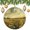 pattern-2053, variant on Christmas Tree Ornaments Starry Sky with Snowflakes Xmas Tree Ornaments Nature Landscape Ornament Xmas Ornament for Family Sister Friends