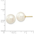 thumbnail image 3 of FB Jewels 14K Yellow Gold 11-12mm White Button Freshwater Cultured Pearl Stud Post Earrings, 3 of 3