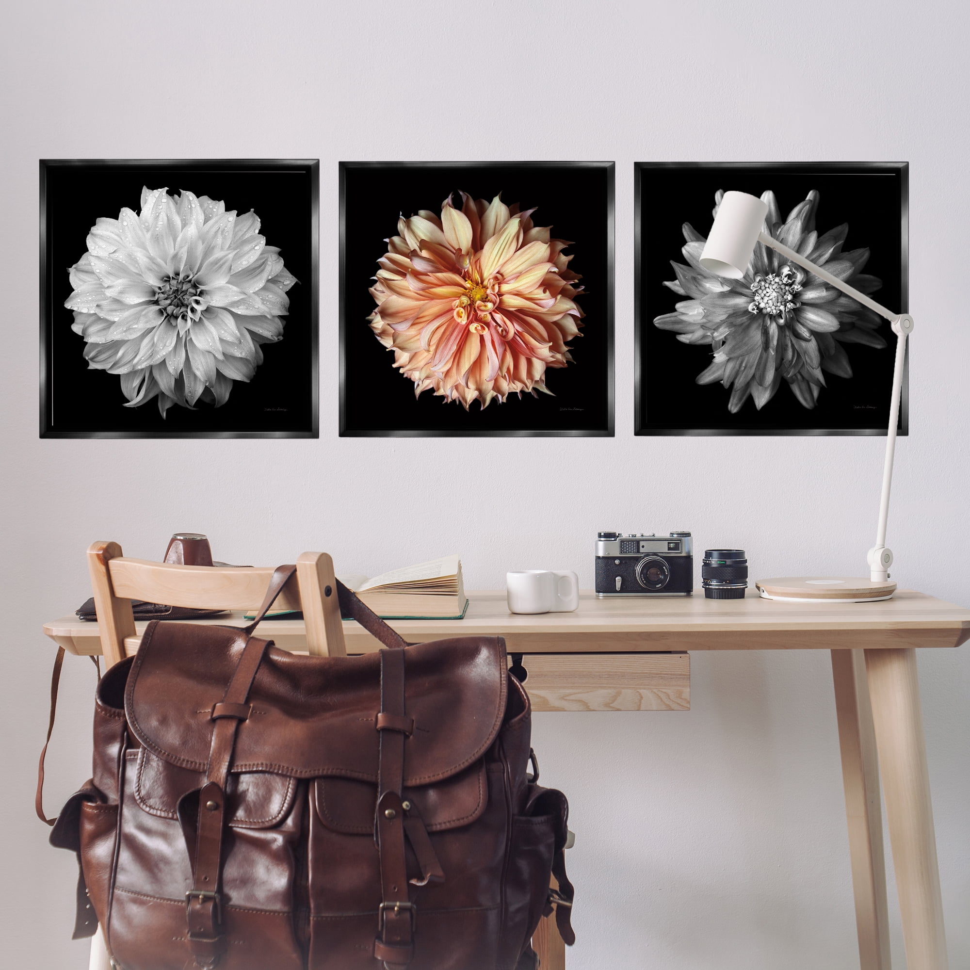 Stupell Industries Detailed Dahlia Photography Plants & Flowers Photography Black Floater Framed Canvas Art Print Wall Art, 25 x 25, Set of 3