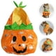 thumbnail image 5 of Ropa de Halloween para perros y gatos, ropa estilo calabaza, ropa para perros, ropa para mascotas, ropa de fiesta para perros, 5 of 5