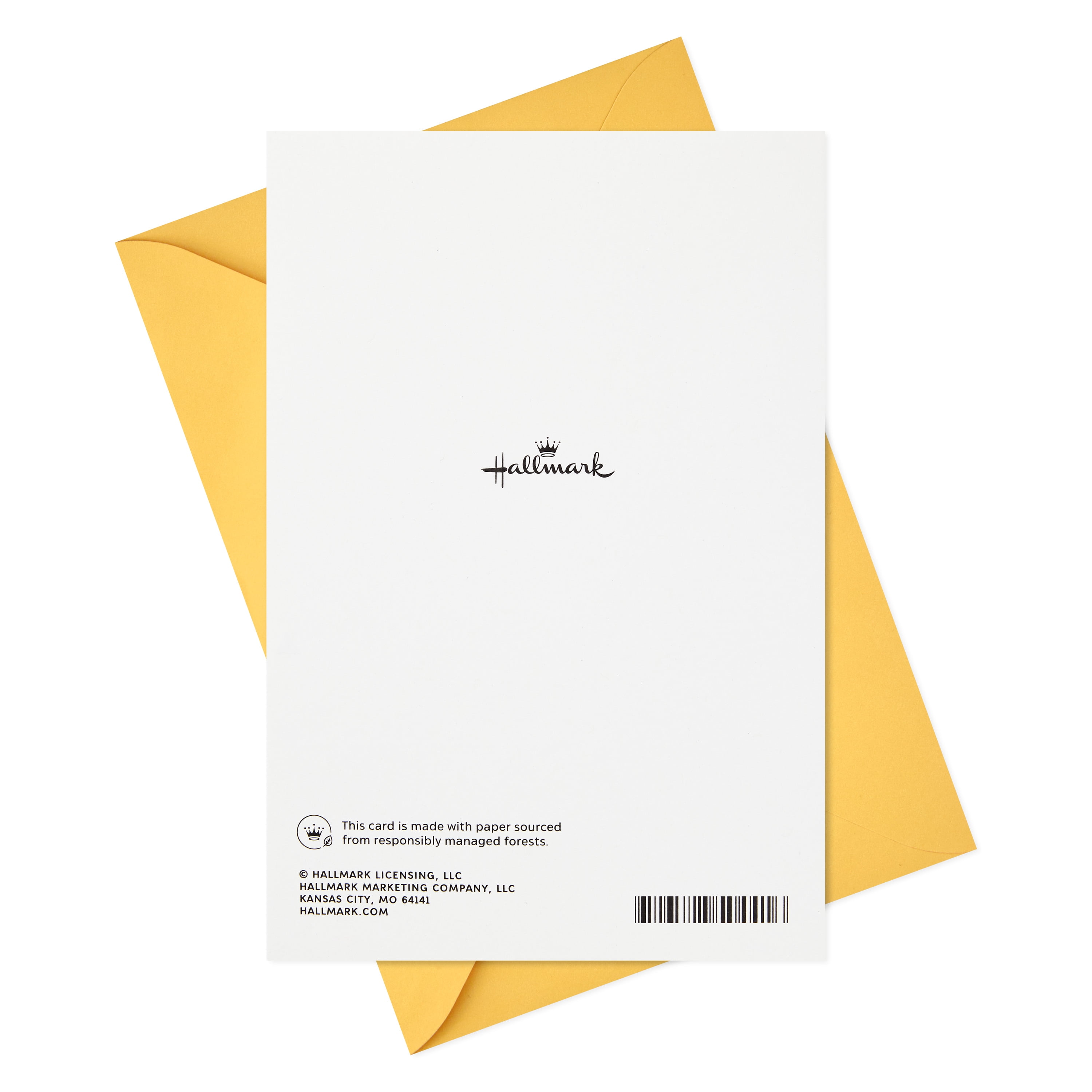 Hallmark Birthday Greeting Card (Bird in Party Hat)