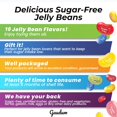 Jelly Belly Assorted Sugar Free Jelly Beans Sugar Free Candy for