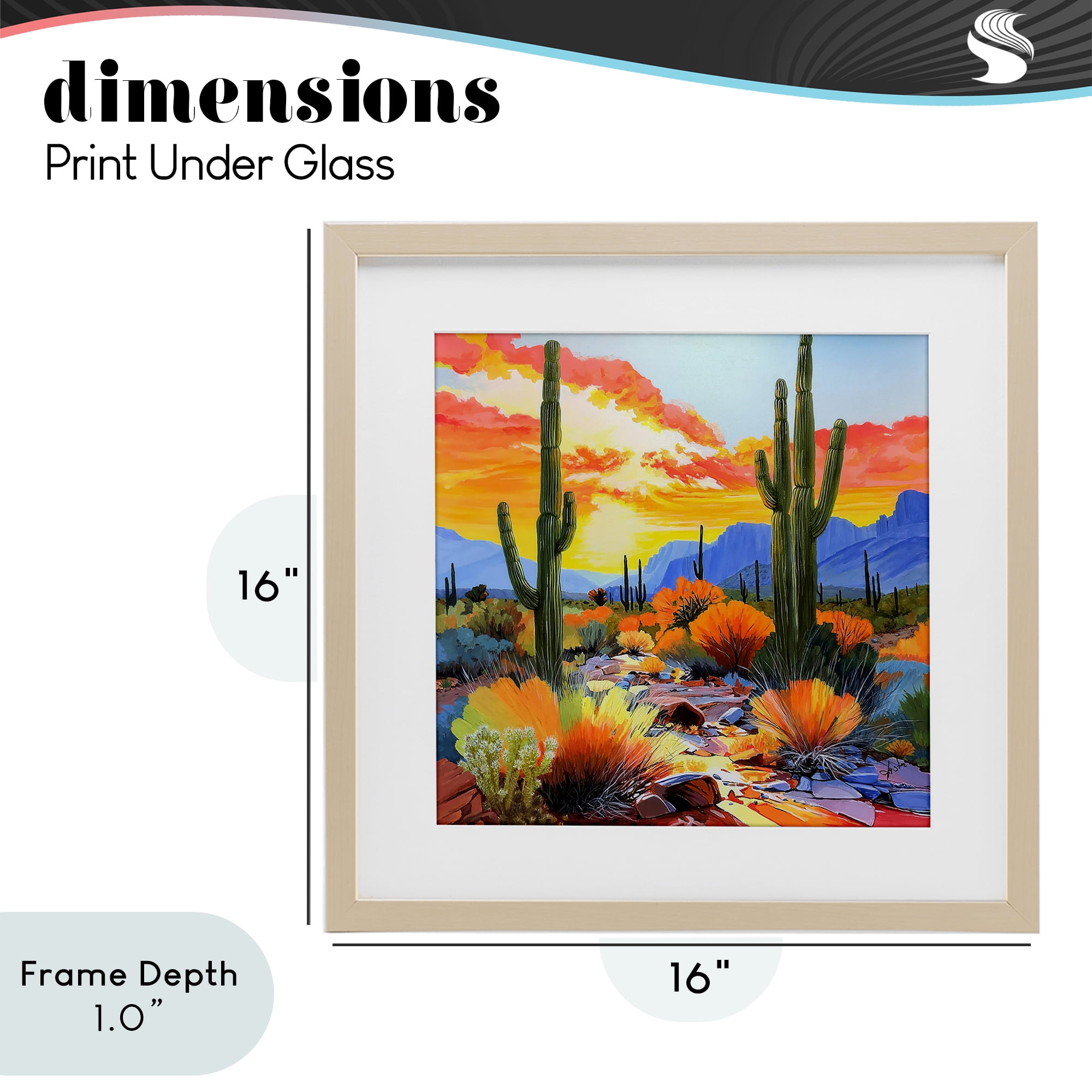 Stupell Industries Desert Splendor Cacti Birch Framed Print Under Glass, design by John Jaster