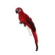 thumbnail image 4 of Figura decorativa realista de loro, figura animal, escultura para casa y jardín. sol, 4 of 8