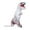 White, variant on Inflatable Dinosaur Costume, Fancy Dinosaur Suit Blow up Full Body Dino Costume for Halloween Cosplay Party