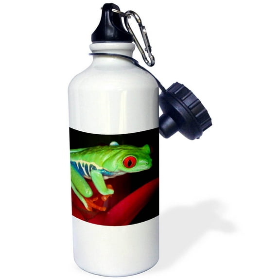 3dRose, South America, Panama. Red eyed tree frog on bromeliad flower., Flip Straw 21oz Water Bottle