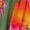 Multicolour, variant on Women's Multicolour Floral Print Mini Dress – Smocked Ruffled Long Sleeve for Autumn Outings | XL