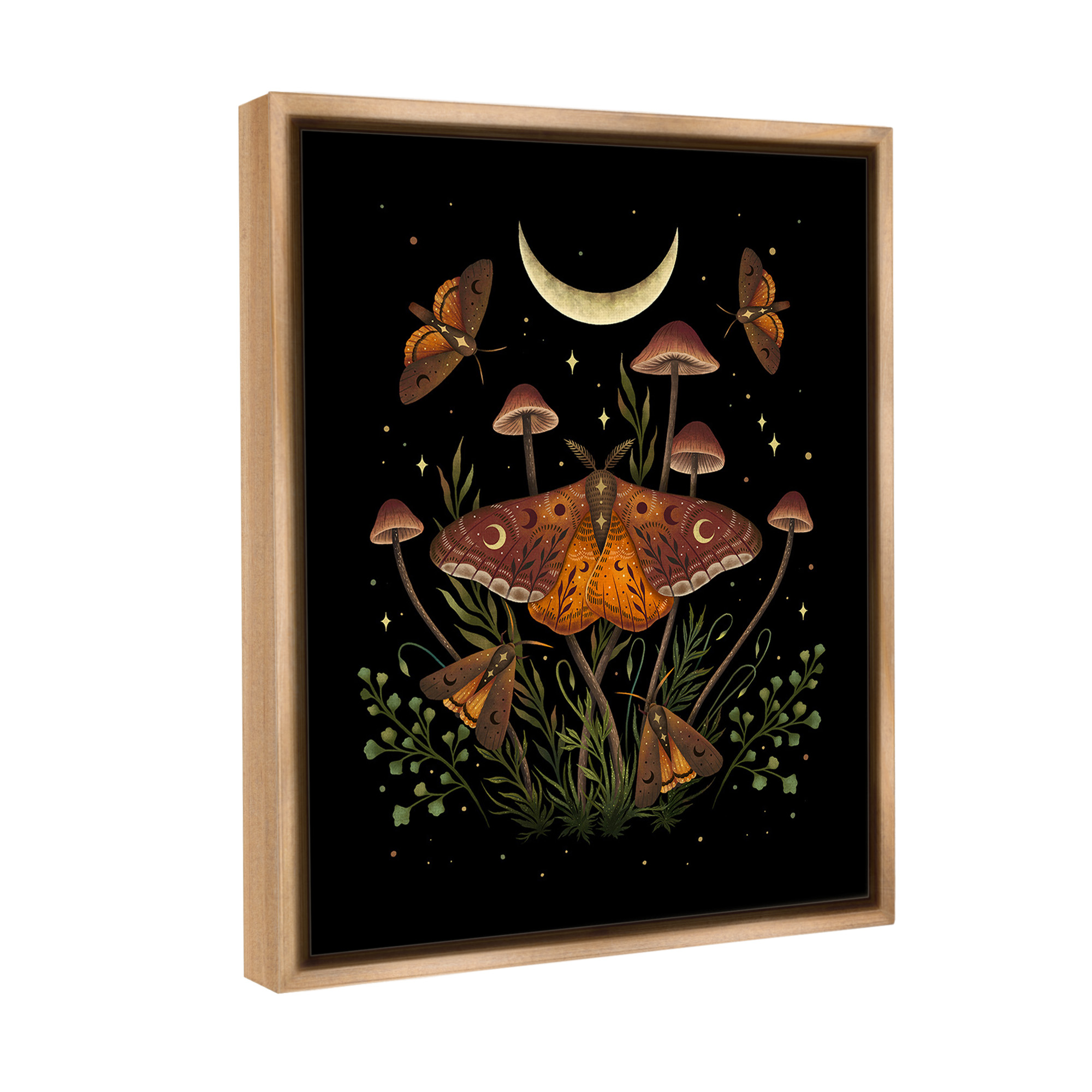 Stupell Industries Astral Moth & Moon Animals & Insects Painting Brown Floater Framed Canvas Art Print Wall Art, 17 x 21