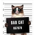 thumbnail image 3 of Cat Duvet Cover Set, Bad Gang Cat in Jail Kitty Under Arrest Criminal Prisoner Hangover Work, Decorative 3 Piece Bedding Set with 2 Pillow Shams, Queen Size, Brown Black White, by Ambesonne, 3 of 3