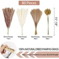 thumbnail image 5 of Stylish Lifestyle, Easy Care Pampas Grass for Farmhouse Kitchen Decor, Ethically Sourced (45cm), 5 of 5
