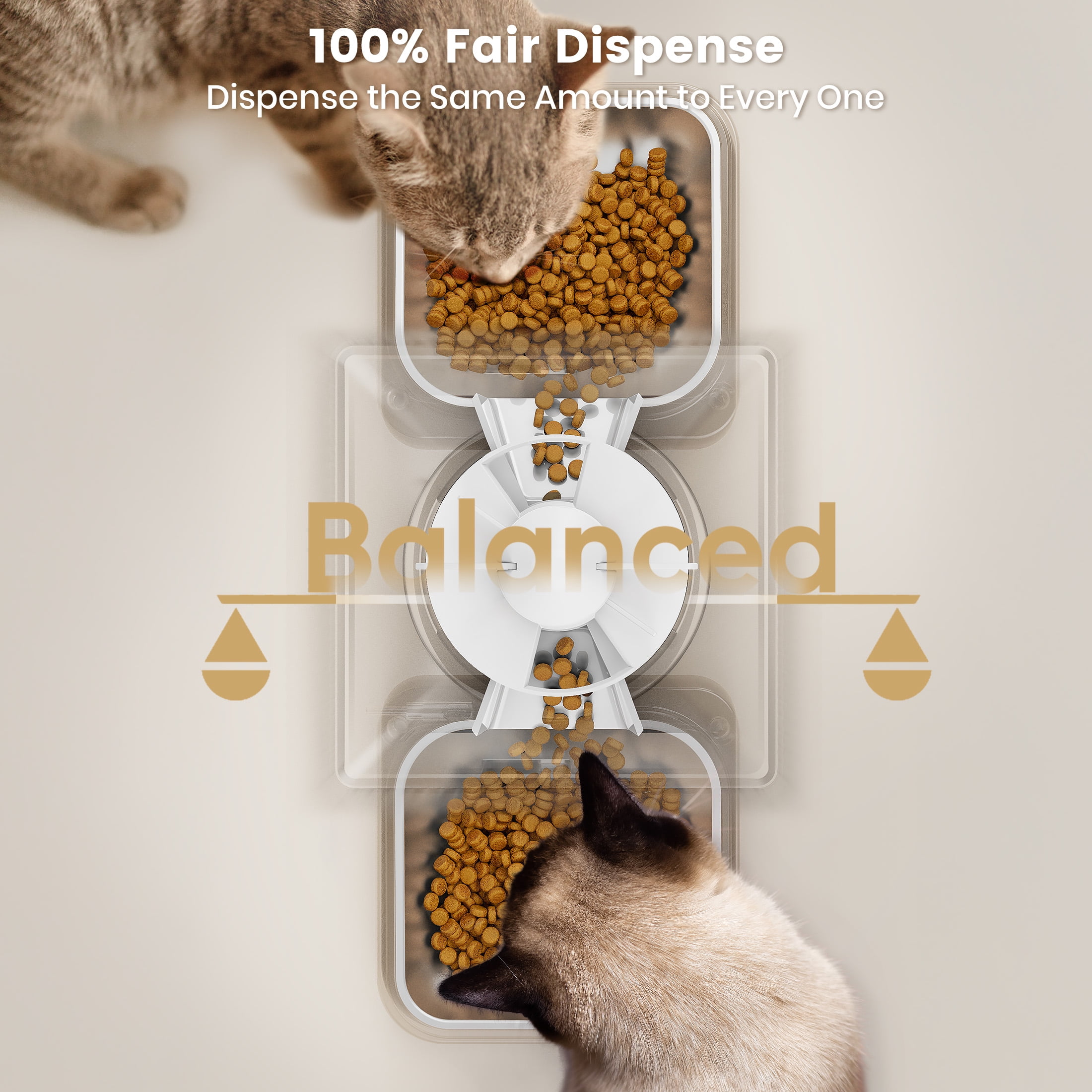 Oneisall Automatic Cat Feeder for 2 Cats, 20 Cups/5L Automatic Cat Food Dispenser for Small Pets Indoor, Timed Cat Feeder Automatic for Dry Food - White