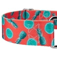 thumbnail image 5 of Country Brook Petz® 1 1/2 inch Tropical Tango Martingale Dog Collar, Medium, 5 of 5