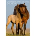 thumbnail image 3 of Cumberland Island, Georgia, Wild Horse and Young (100% Cotton Canvas Reusable Tote Bag), 3 of 3