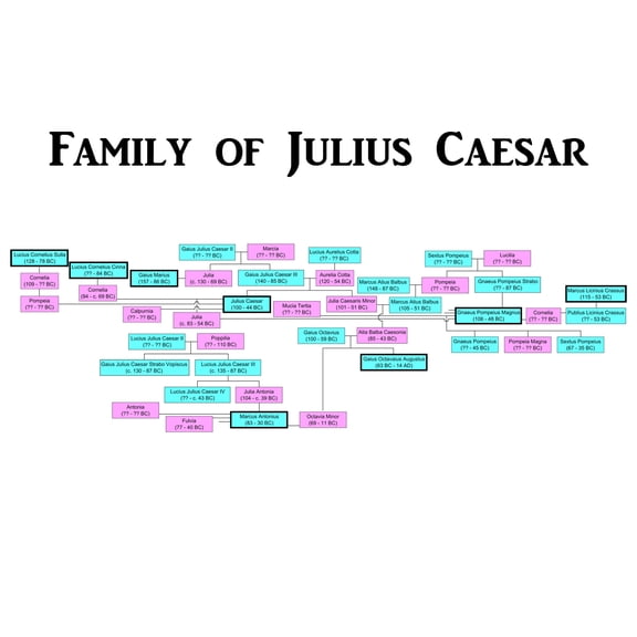 24x36 gallery poster, Family of Julius Caesar, Julio-Claudian family tree