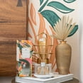thumbnail image 3 of GREENLEAF Gifts Highly Fragranced Room Décor Reed Diffuser-Gooseberry & Fig, 3 of 5