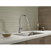 Delta Essa Single-Handle Pull-Down Kitchen Faucet - 9113T-DST - Chrome