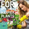 thumbnail image 1 of Barras de fertilizante para flores de liberación lenta de larga duración para plantas de interior - Picos de nutrientes todo en uno para plantas de interior, fáciles de usar, promueven floraciones, 1 of 8