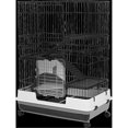thumbnail image 2 of AE Cage Company Nibbles Deluxe 4 Level Small Animal Cage 32L x 21W x 43H ARB80-2, 2 of 2