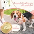 thumbnail image 2 of Small Dog Harness and Leash Set No Pull Puppy Harness Step-in Adjustable Puppy Cat Dog Vest Harnesses Soft Mesh Breathable Dog Harness Backpack Pet Harness for Puppies Small Medium Dogs, 2 of 7