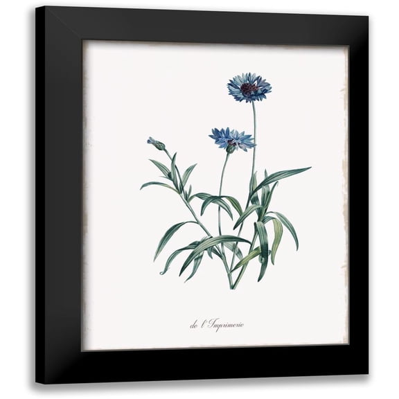 Donovan, Kelly 12x14 Black Modern Framed Museum Art Print Titled - Imperial Blue