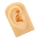 thumbnail image 3 of Modelo de oreja de silicona suave, Flexible, simulación de oreja, práctica de perforación, exhibición de joyería, modelo de oreja falsa, 3 of 8