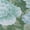 Sky, variant on Addison Rugs Chantille Indoor/Outdoor Transitional Floral Sky Washable Rectangle Rug, 10' x 14'