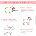 thumbnail image 6 of Unique Bargains Slip for Dogs 5FT No-Pull Dog Leash with Comfortable Rope Design Heavy Duty Training for Small Medium Dogs Orange, 6 of 7