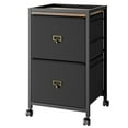 thumbnail image 1 of File Cabinet with 2 Drawer, Mobile Filing Cabinet Rolling Printer Stand Fits A4 or Letter Size, Fabric Vertical File Cabinet with Wheels, Under Desk Storage Cabinet for Home Office, 1 of 5