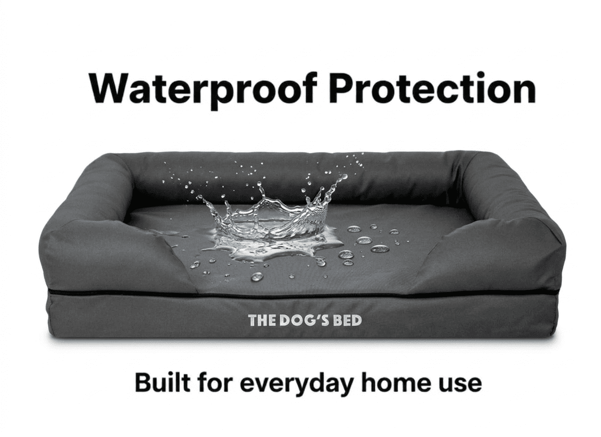 The Dog’s Bed Orthopedic Dog Bed Large Grey with Black Trim 36x27, Waterproof, Veterinary Grade Memory Foam, Pain Relief: Arthritis, Hip & Elbow Dysplasia, Post Surgery, Supportive, Washable Cover