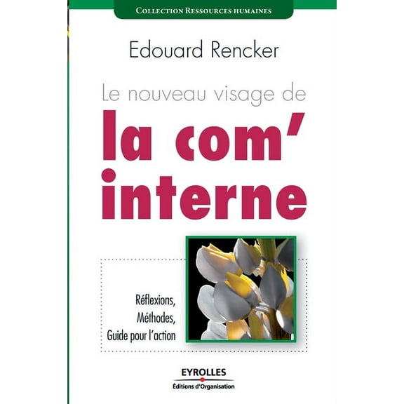 Le nouveau visage de la com' interne : Réflexions, Méthodes, Guide pour l'action (Paperback)