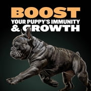 Bully Max 26/12 High Protein Chicken Wet Puppy Food, 2 lb. Bag (makes 5.5 lbs.)