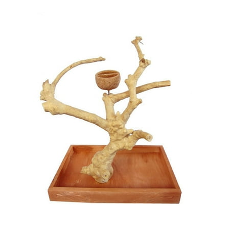 UPC: 0644472017540 | A&E Cage Company Small Java Table Top – 15 x10 x 15